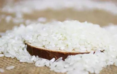 為什么大米做不出松軟的面包？