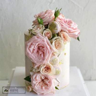 烤蛋糕？從專業(yè)角度給你提示！